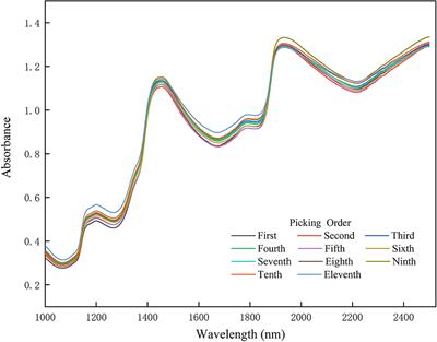 Soluble Solids Content Binary Classification of Miyagawa Satsuma in Chongming Island Based on Near Infrared Spectroscopy